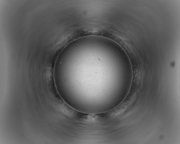 X0000091230612200708161718