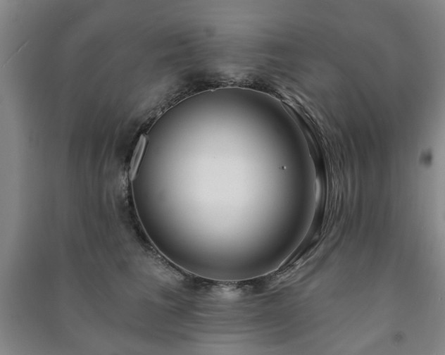 X0000091230613200708161718