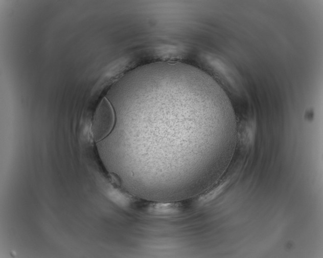 X0000091230622200708161718