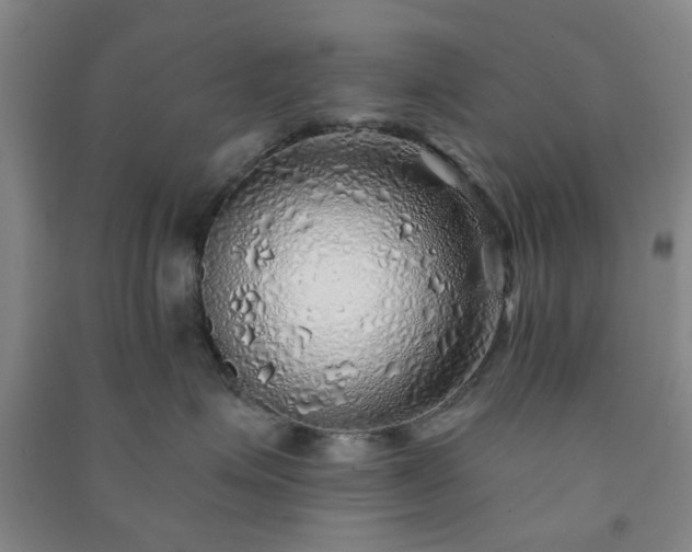 X0000091230623200708161718