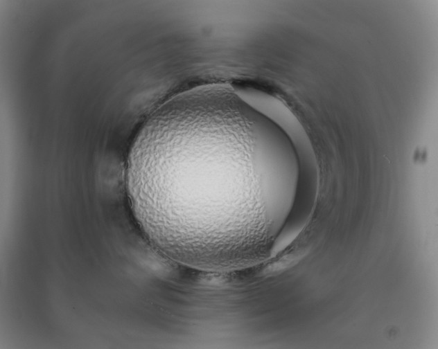 X0000091230624200708161718