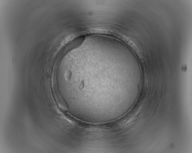 X0000091230625200708161717