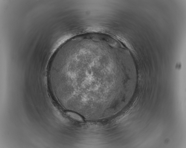 X0000091230626200708161717