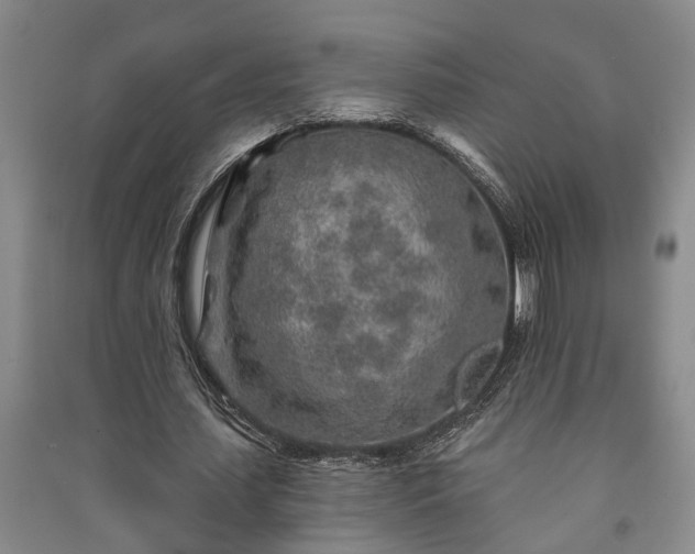 X0000091230627200708161717