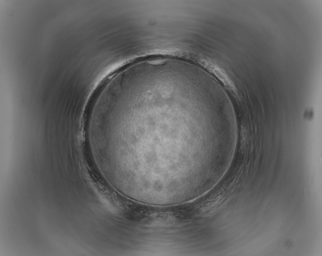 X0000091230628200708161717