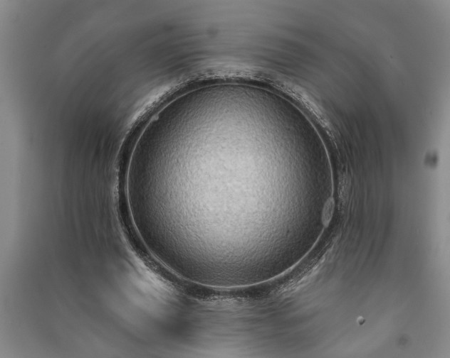 X0000091230629200708161717