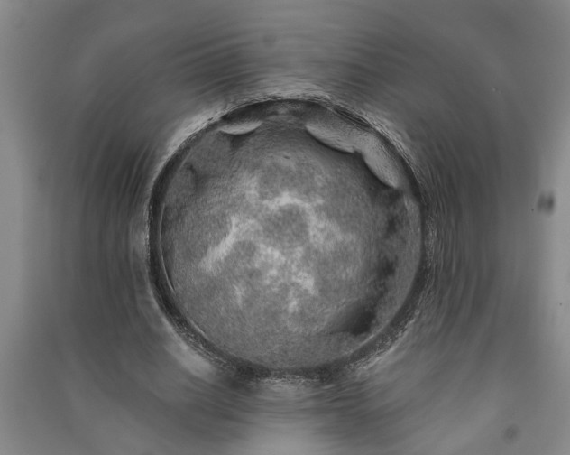 X0000091230630200708161717