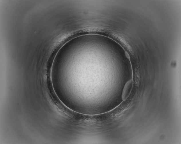 X0000091230631200708161717