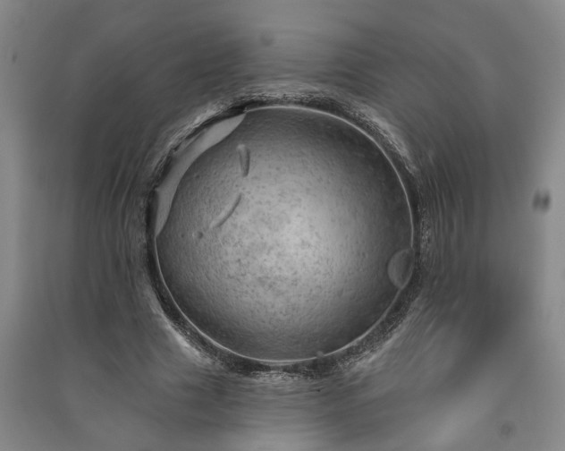 X0000091230633200708161717