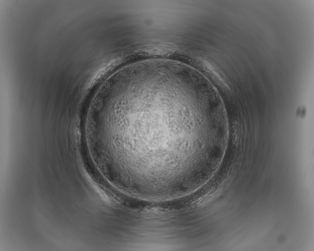 X0000091230634200708161717