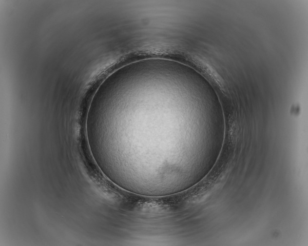 X0000091230635200708161717