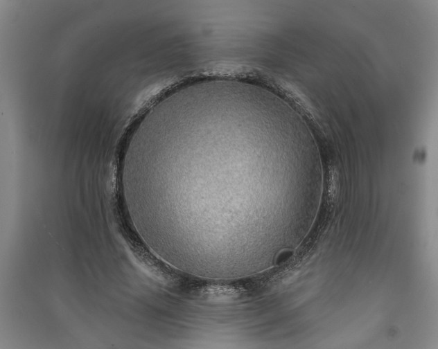 X0000091230636200708161717