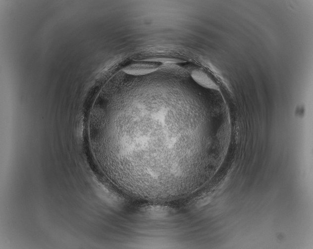 X0000091230637200708161717