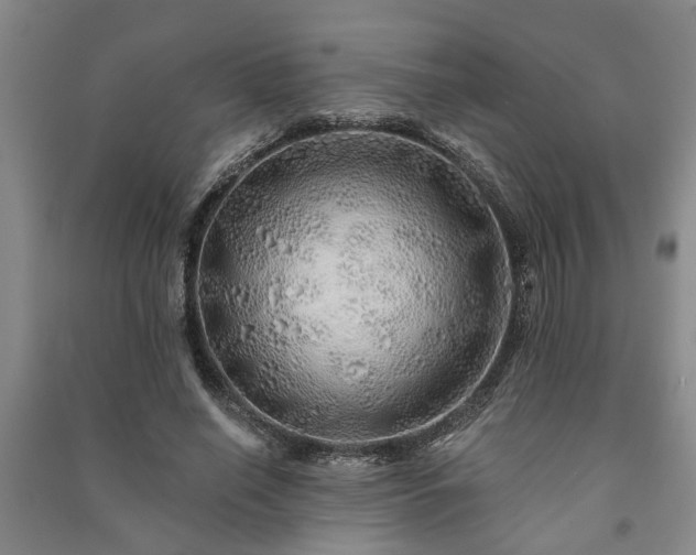 X0000091230638200708161717