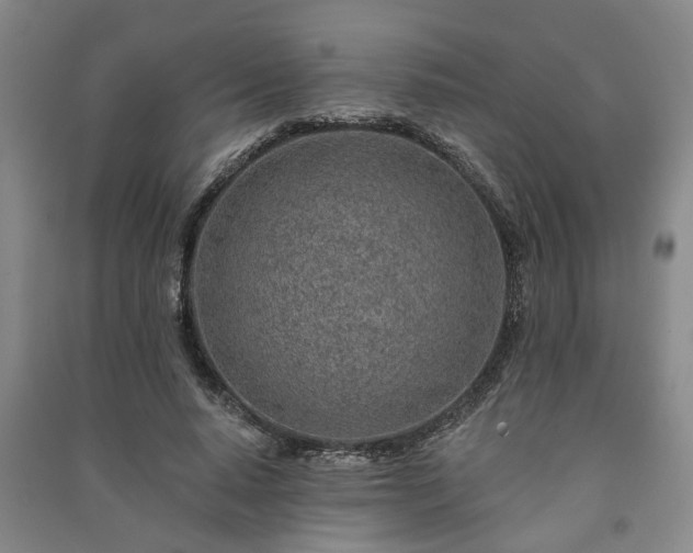 X0000091230640200708161717