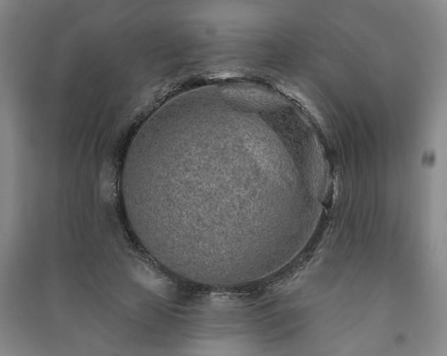 X0000091230641200708161717