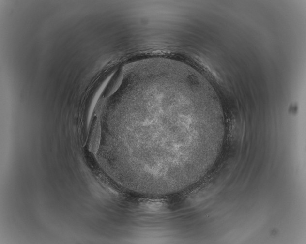 X0000091230643200708161717