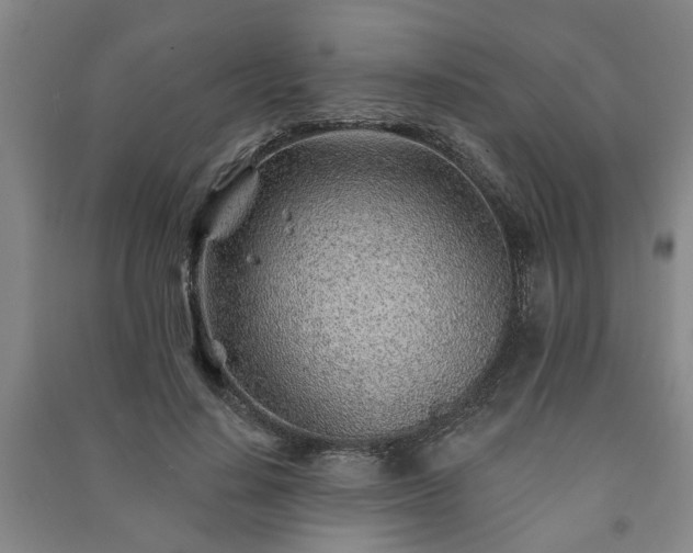 X0000091230644200708161717