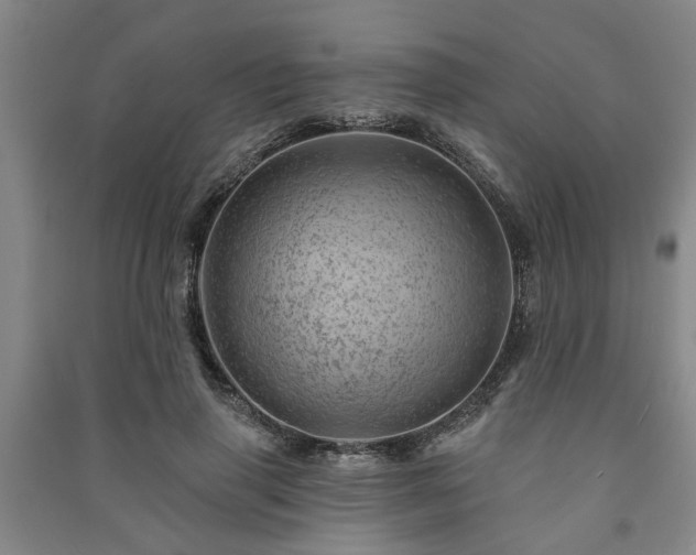 X0000091230645200708161717