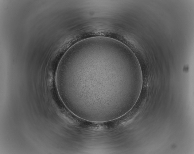 X0000091230646200708161717