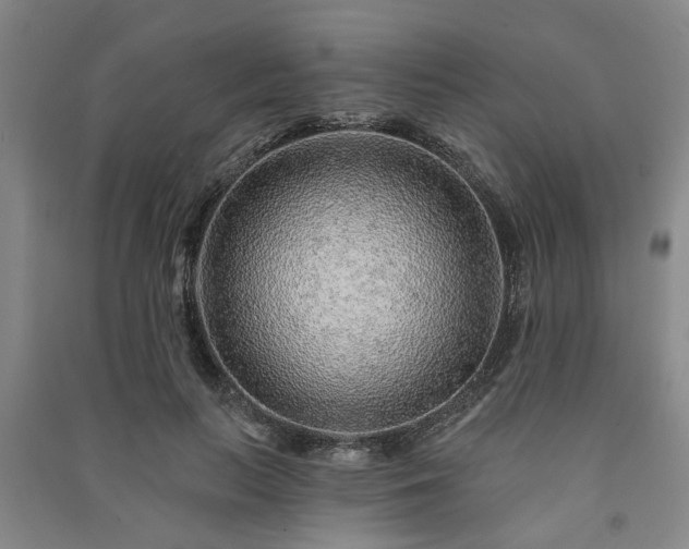 X0000091230647200708161717