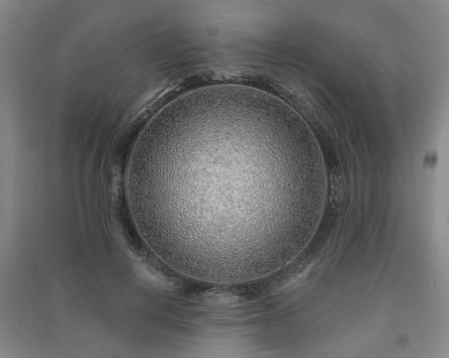 X0000091230648200708161717