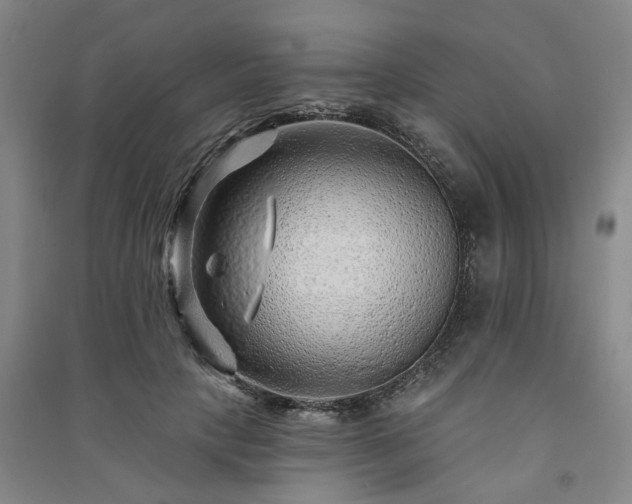 X0000091230649200708161717