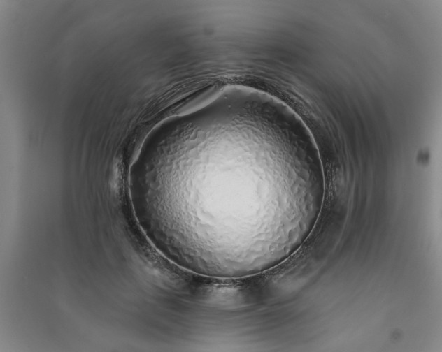 X0000091230651200708161717