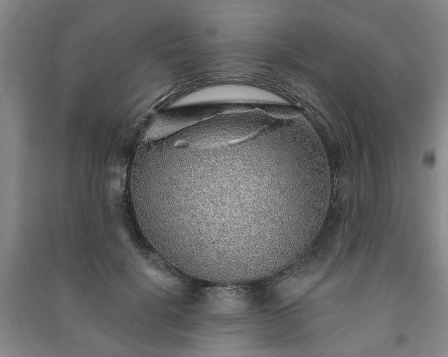 X0000091230652200708161717