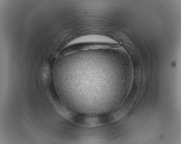 X0000091230653200708161717