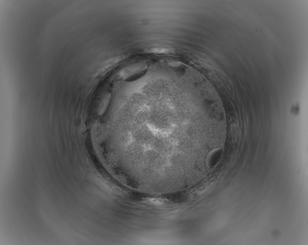X0000091230654200708161717