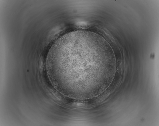 X0000091230655200708161717