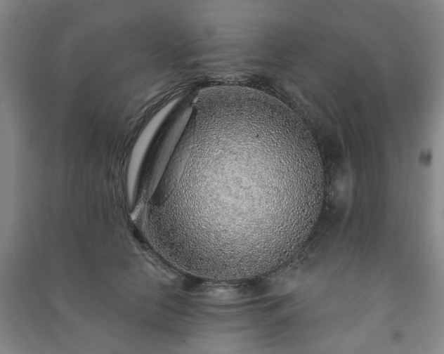 X0000091230658200708161717