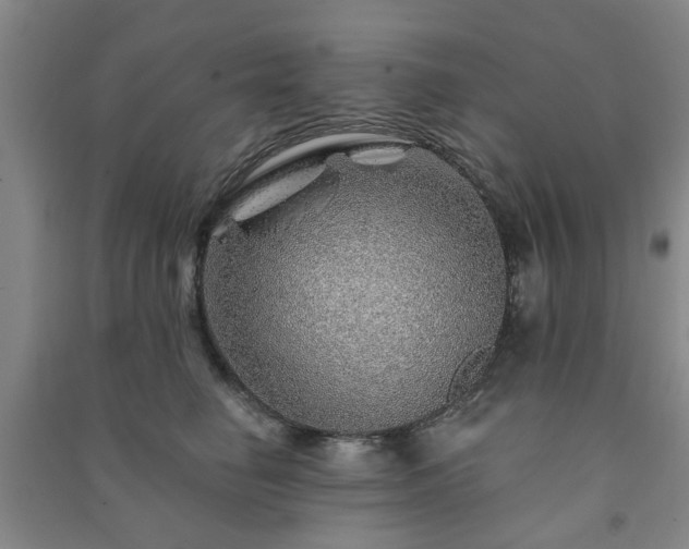 X0000091230662200708161717