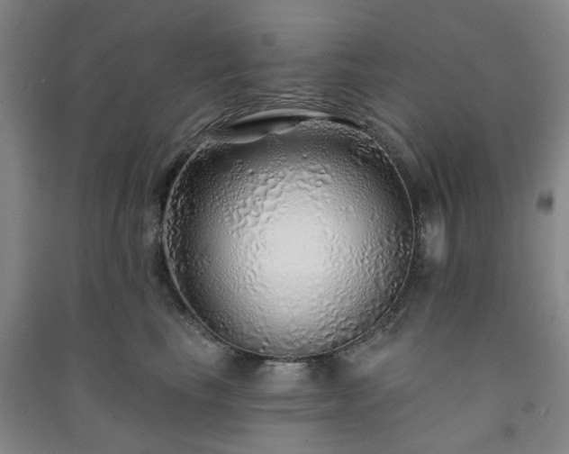 X0000091230665200708161717