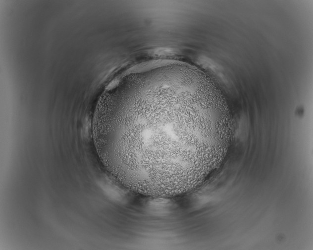 X0000091230669200708161717