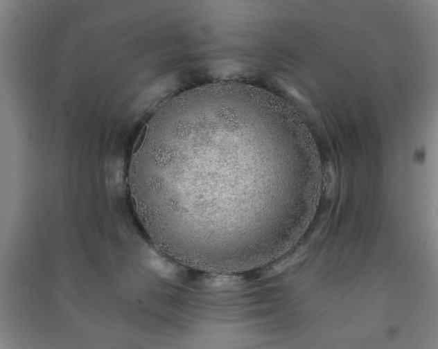 X0000091230670200708161717