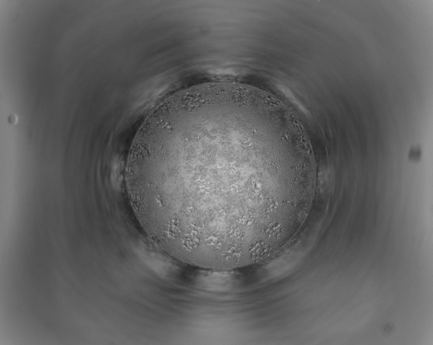 X0000091230671200708161718