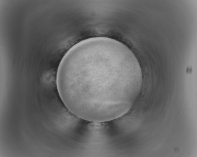 X0000091230672200708161718