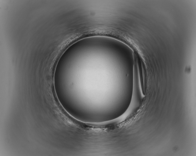 X0000091230673200708161717