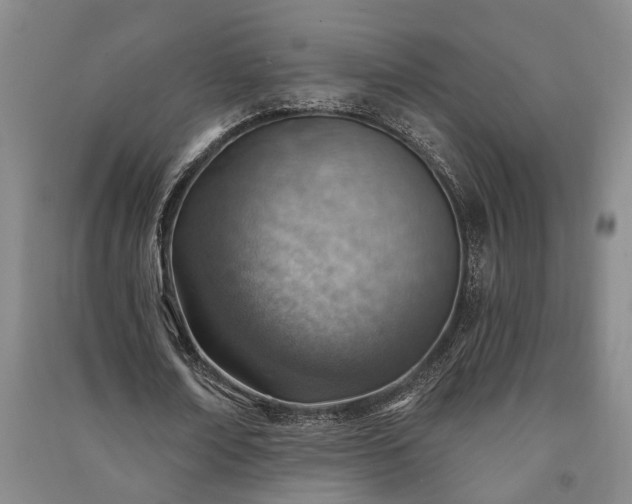 X0000091230674200708161717