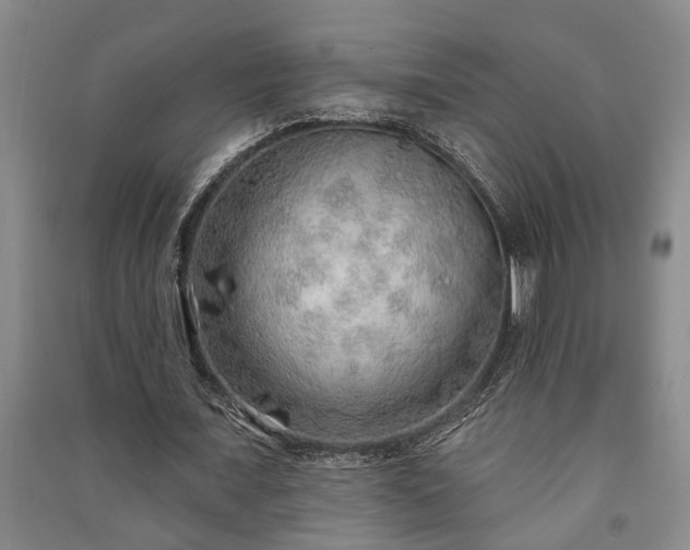 X0000091230675200708161717