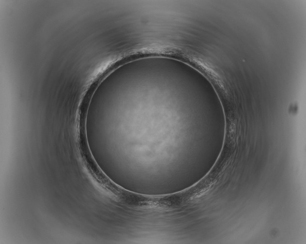 X0000091230678200708161717