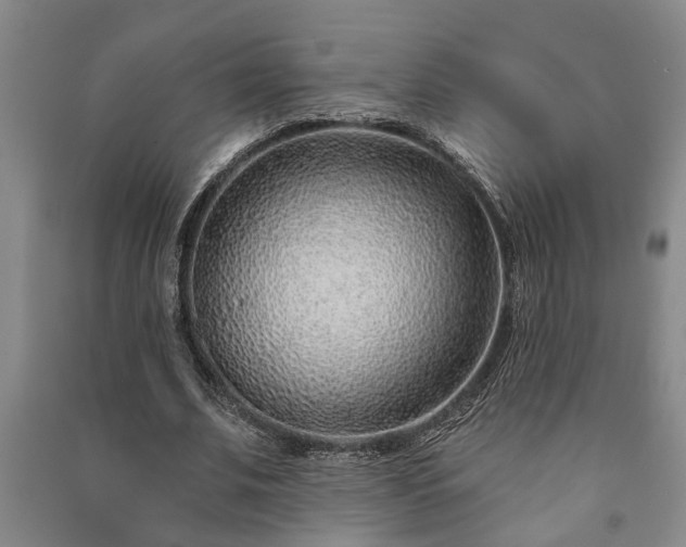 X0000091230679200708161717