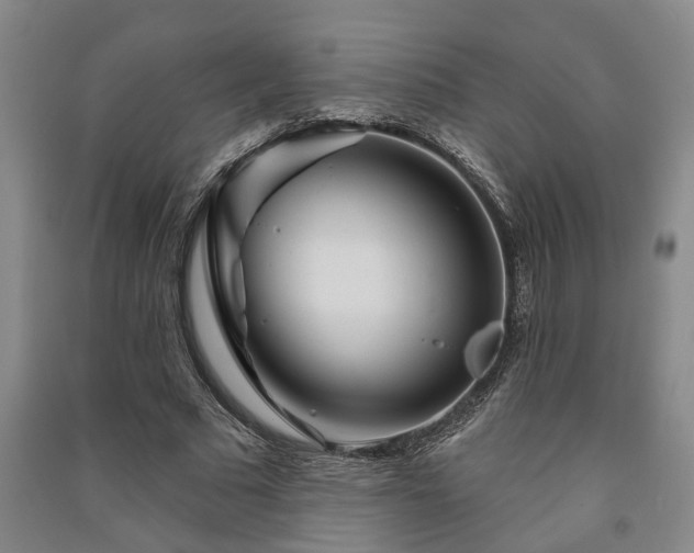 X0000091230681200708161717