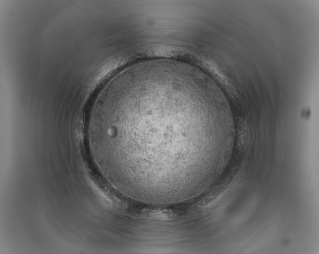 X0000091230683200708161717