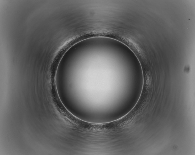 X0000091230684200708161717
