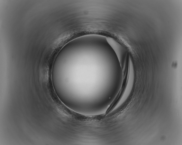 X0000091230685200708161717