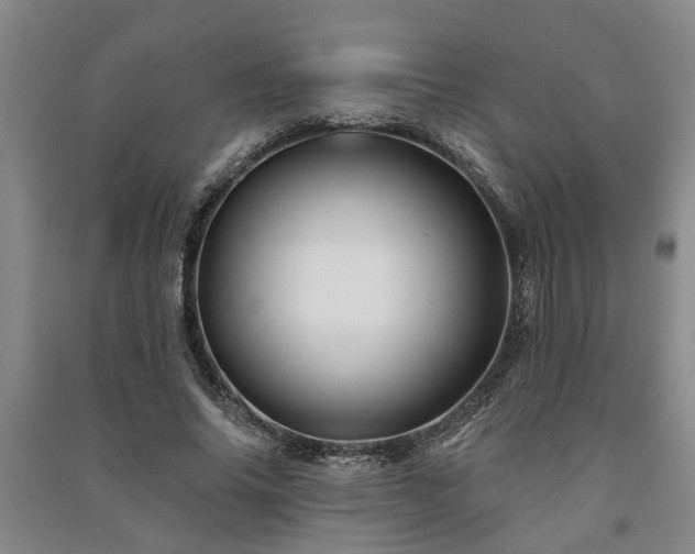 X0000091230686200708161717