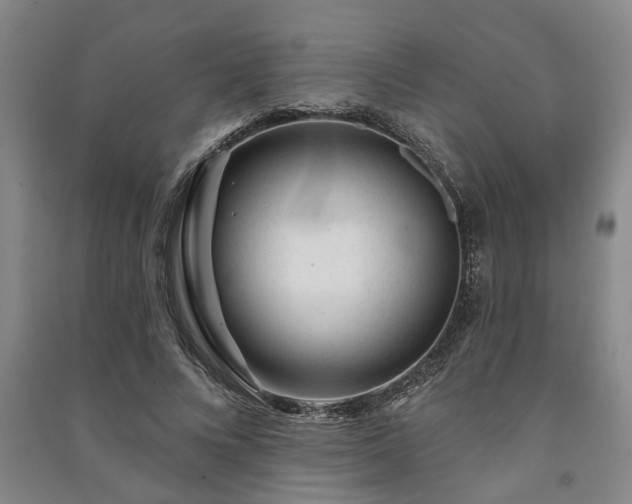 X0000091230688200708161717